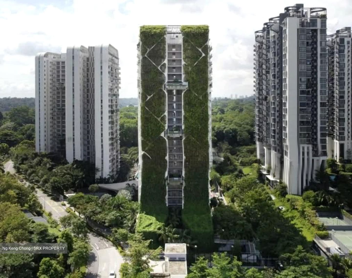 Tree House (D23), Condominium #561643391